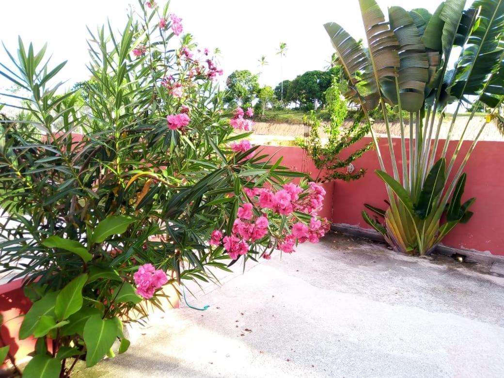 Residencial Vista Mar II Daire Porto Seguro Dış mekan fotoğraf